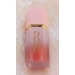 BLUSH LIQUIDE 4