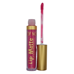 Rouge à lèvre mat + crayon contour lèvre waterproof