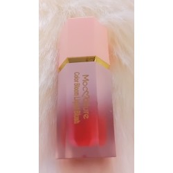 BLUSH LIQUIDE 6