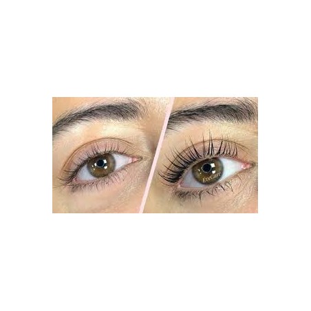 lashlift et browlift