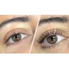 lashlift et browlift