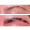 lashlift et browlift