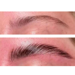 lashlift et browlift + Teinture