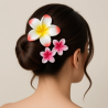 Pinces à cheveux