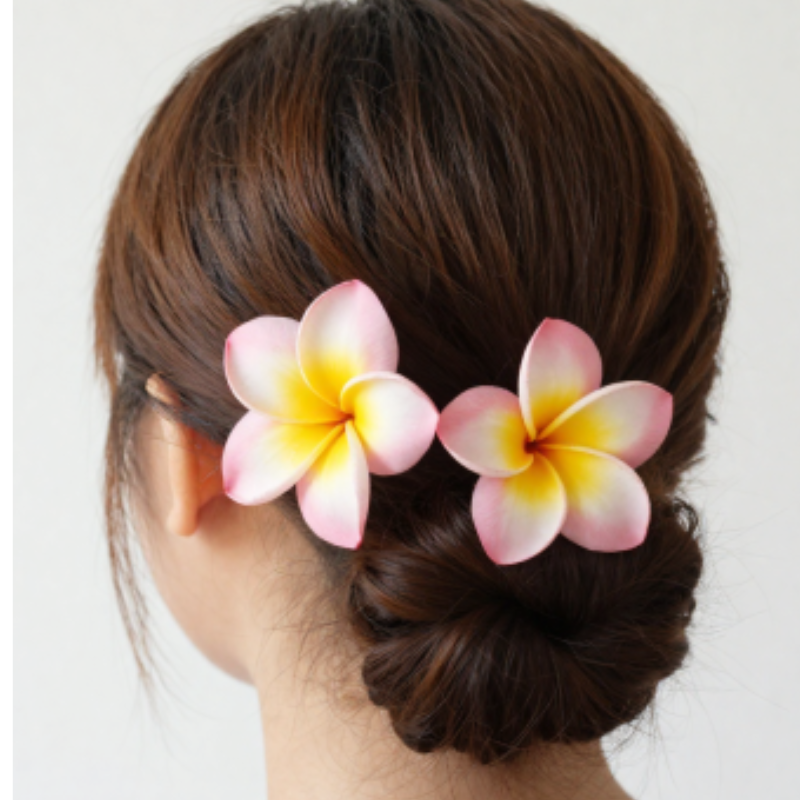 Pinces à cheveux