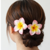 Pinces à cheveux