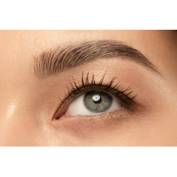 REHAUSSEMENT SOURCILS